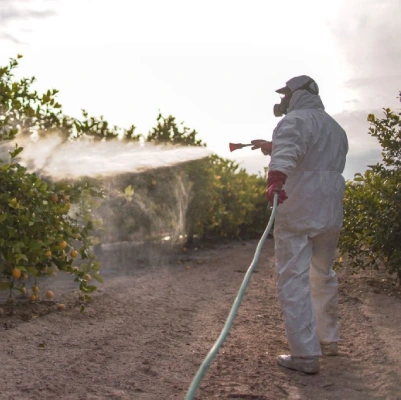 Pest Control St Ives